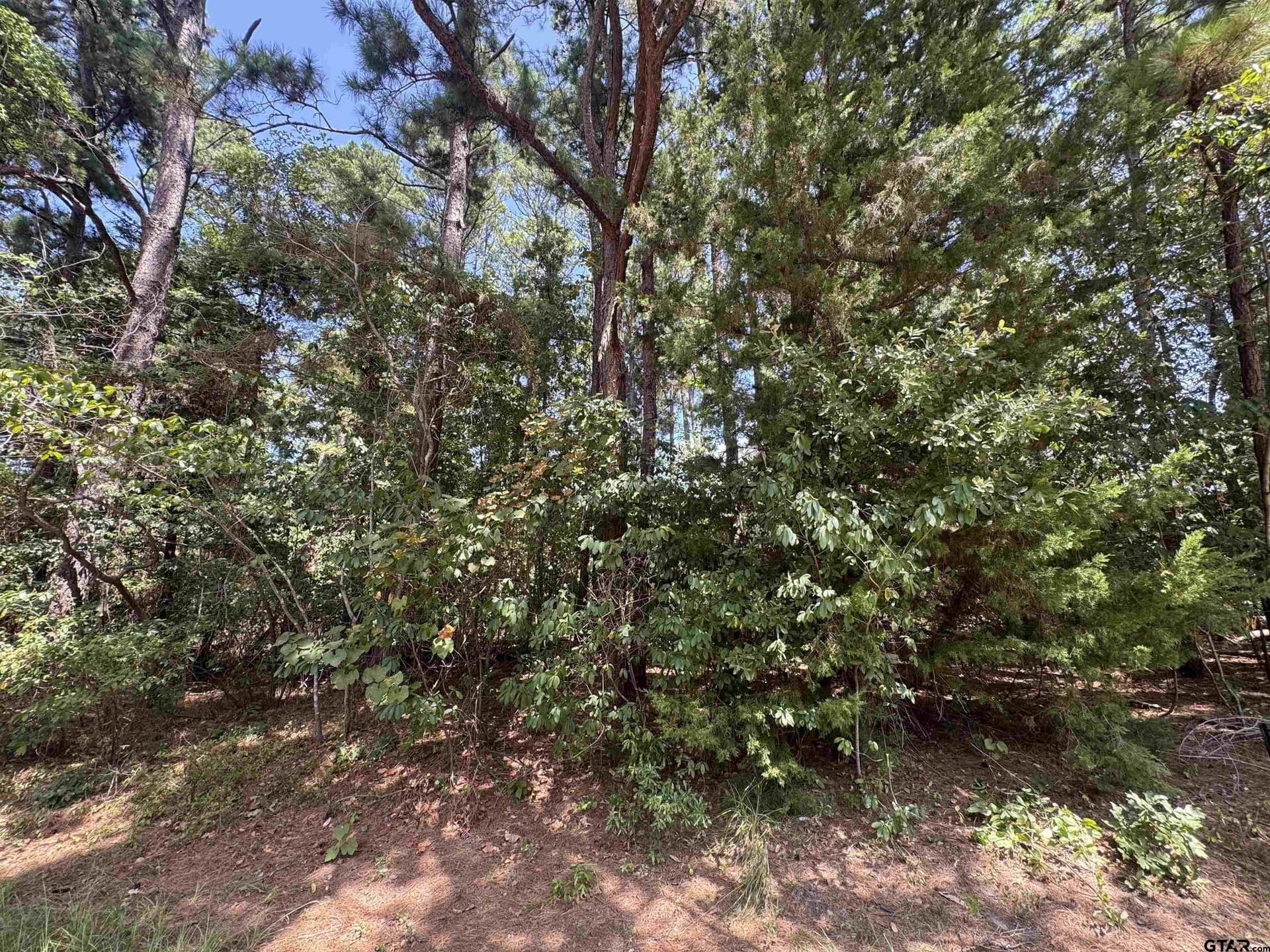 0.15 acres in Cherokee County - photo 5