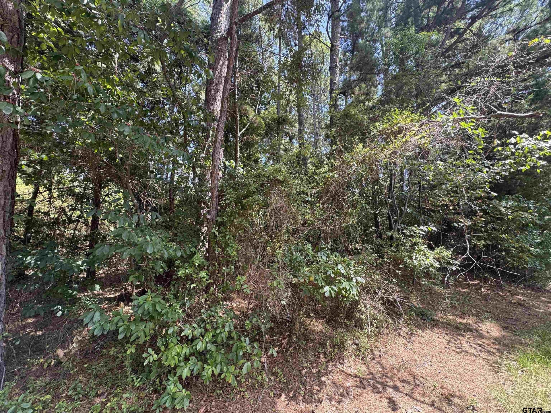 0.15 acres in Cherokee County - photo 2