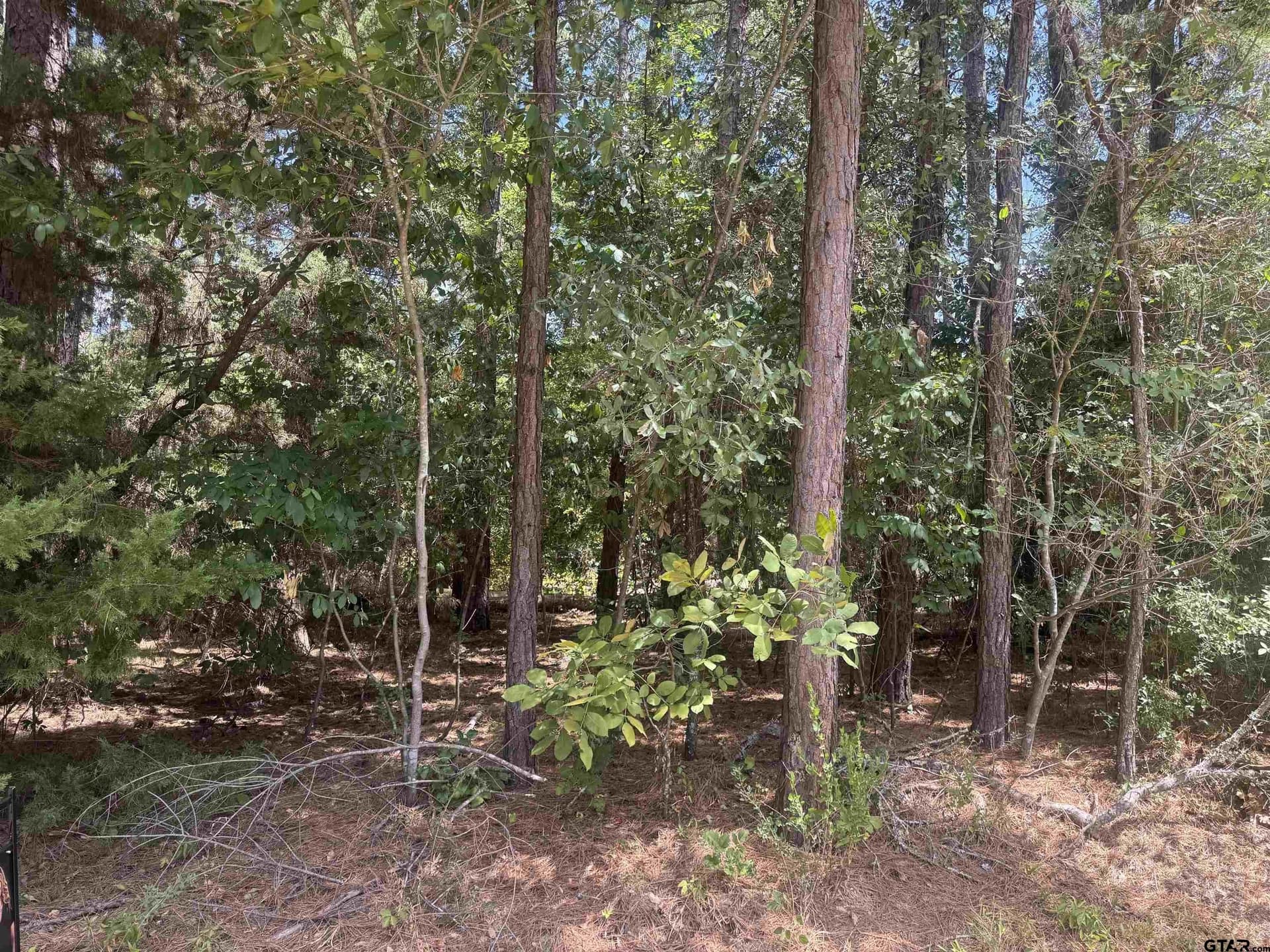 0.15 acres in Cherokee County - photo 3