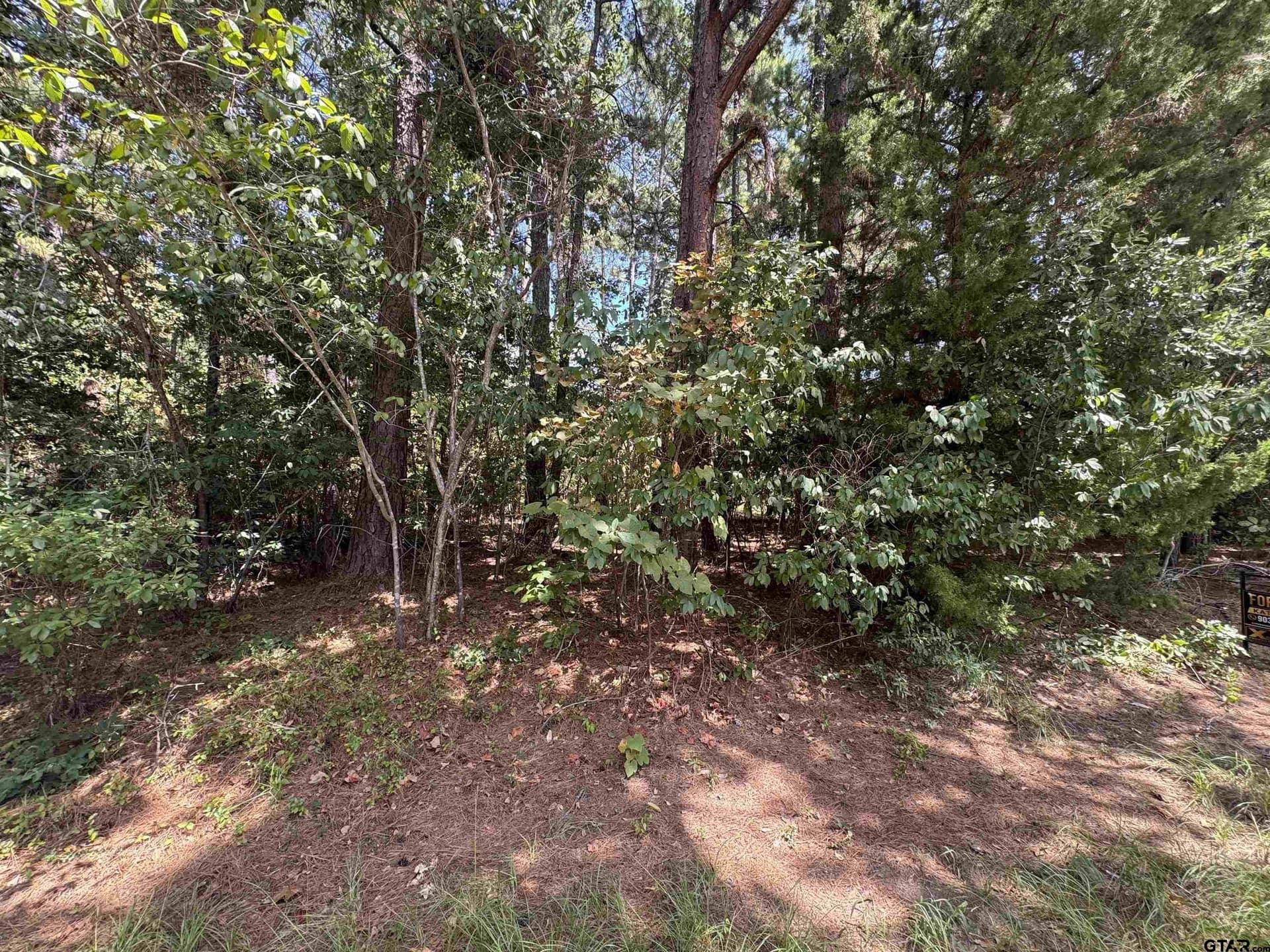 0.15 acres in Cherokee County - photo 4