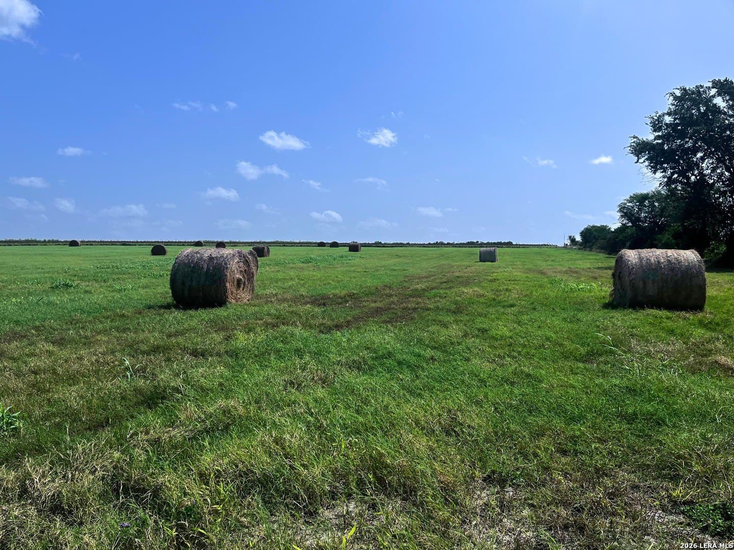 100 acres in Wilson County