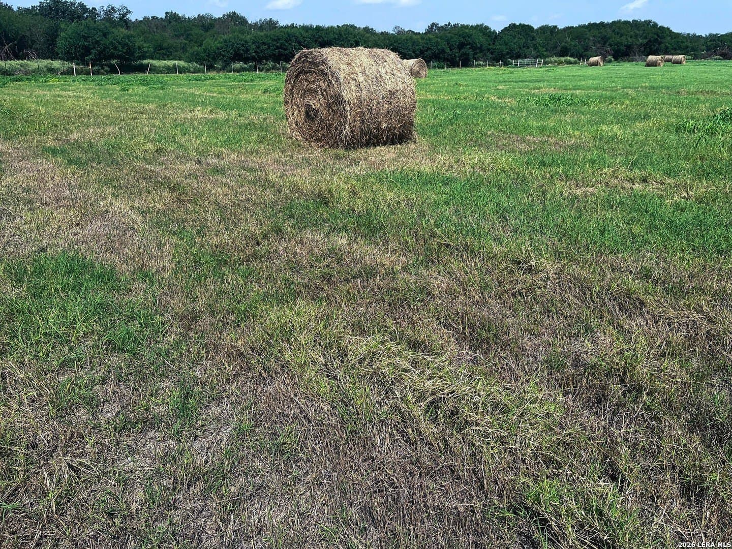 100 acres in Wilson County - photo 3