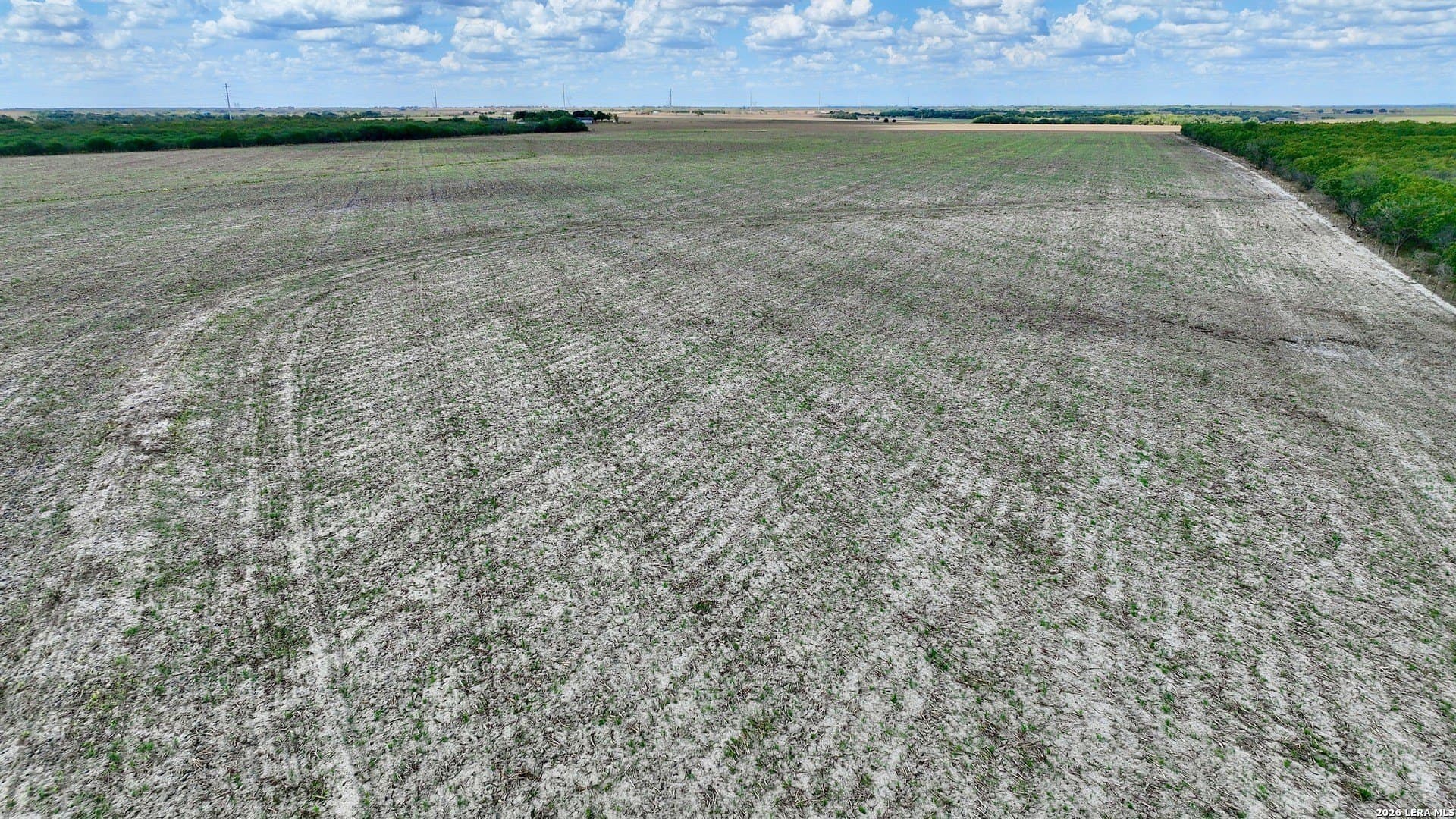 100 acres in Wilson County - photo 15