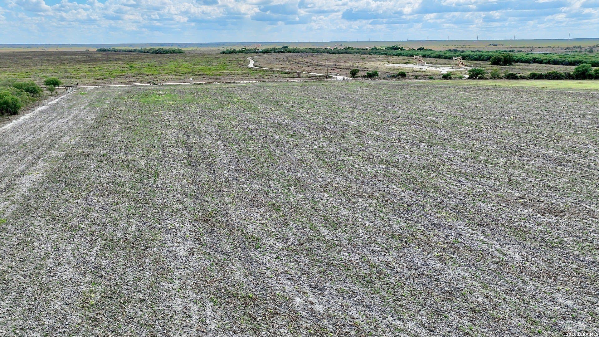 100 acres in Wilson County - photo 16