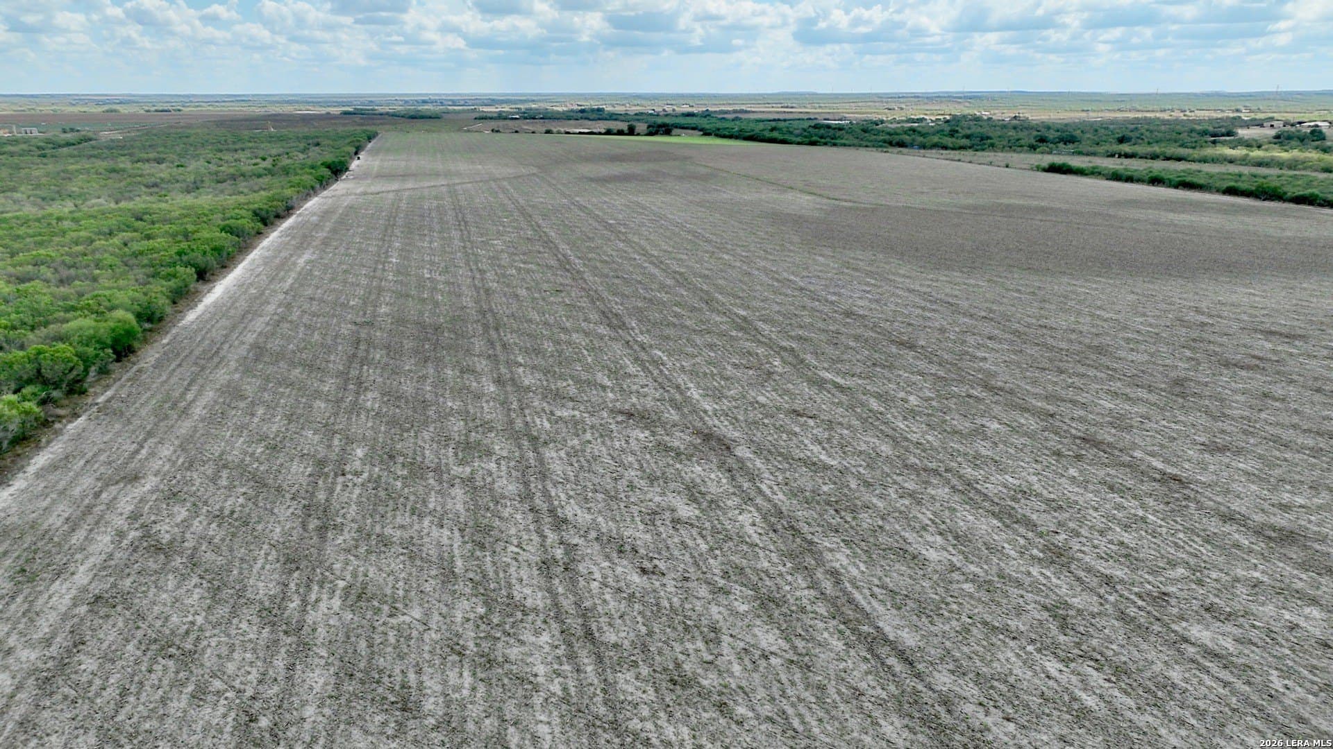 100 acres in Wilson County - photo 10