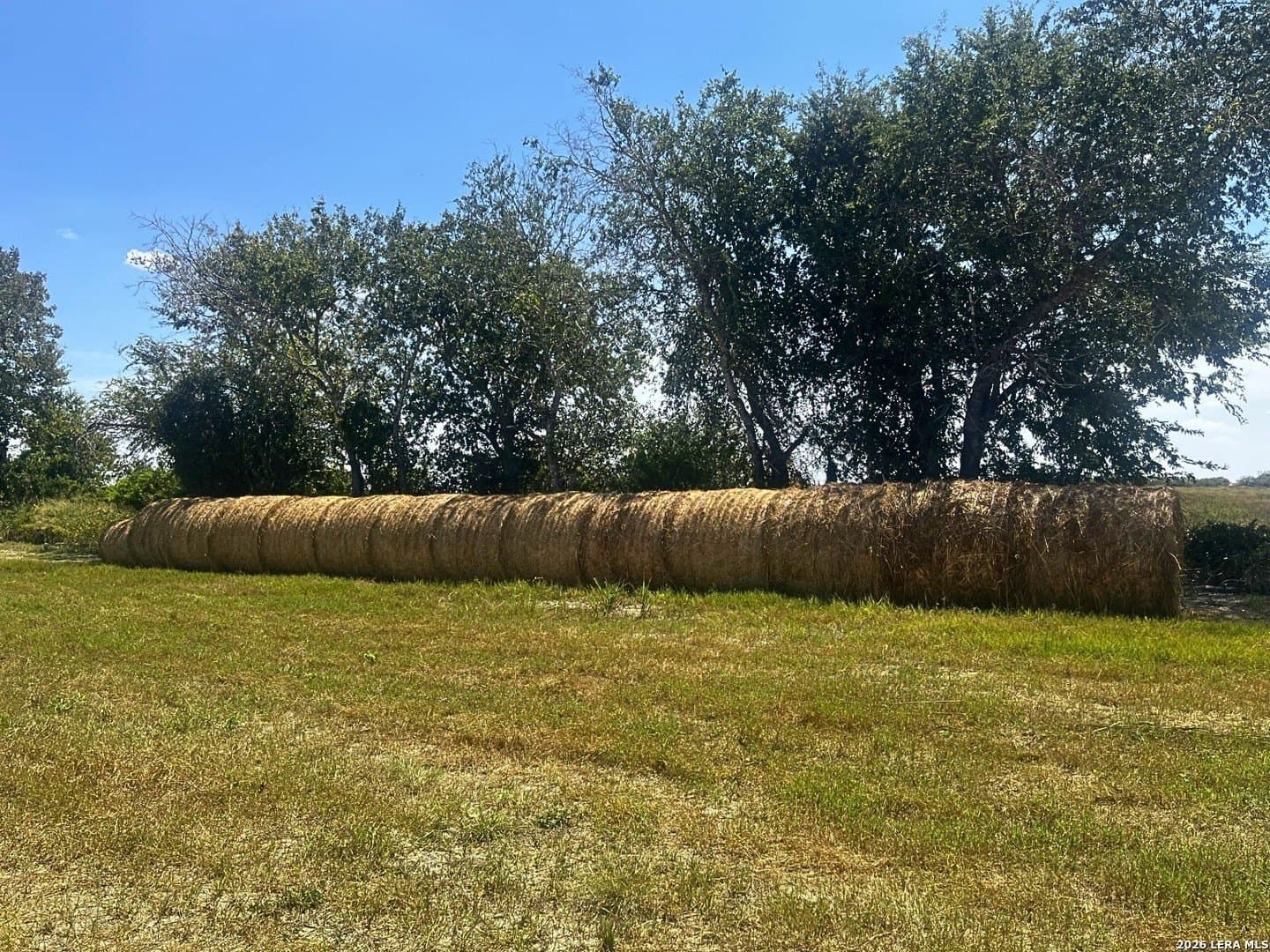 100 acres in Wilson County - photo 2