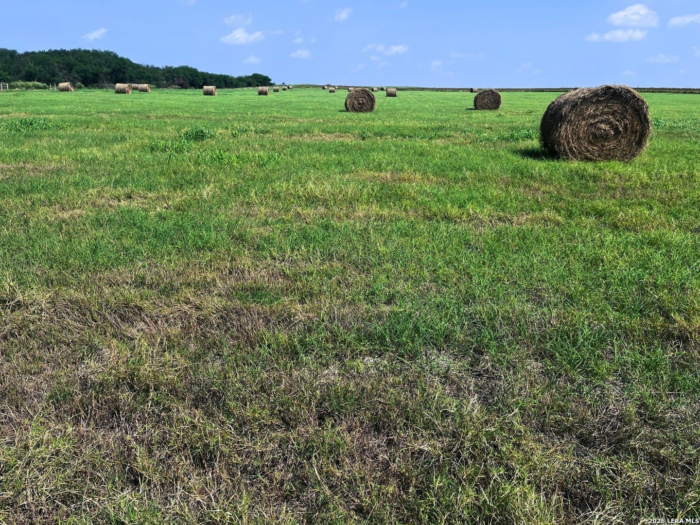 100 acres in Wilson County - photo 4