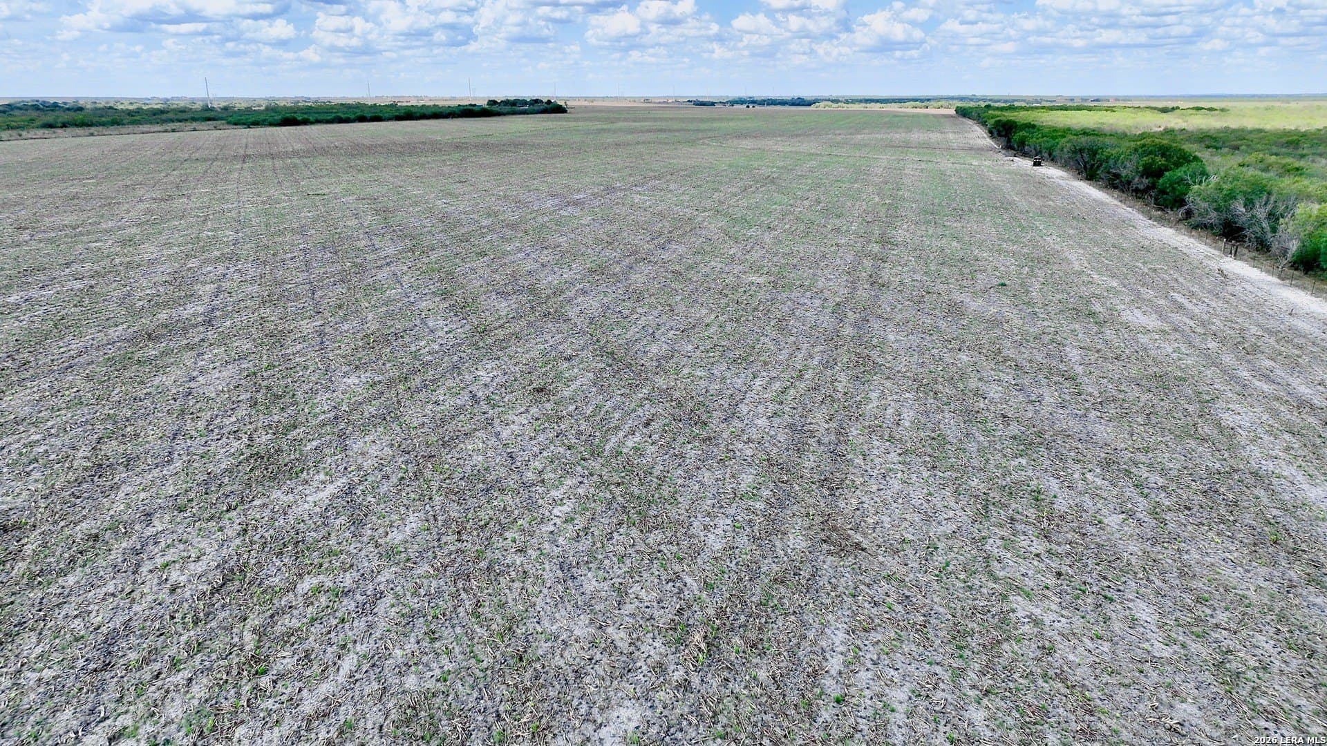 100 acres in Wilson County - photo 17
