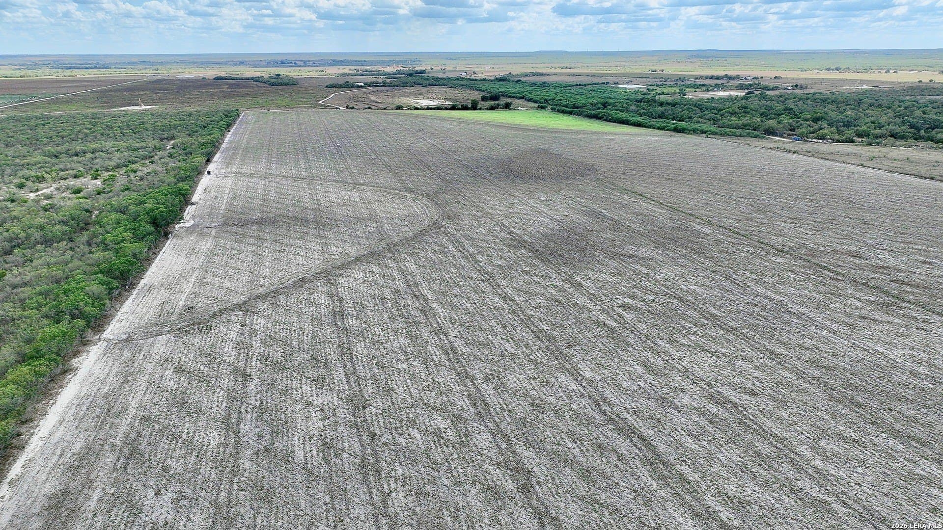 100 acres in Wilson County - photo 11