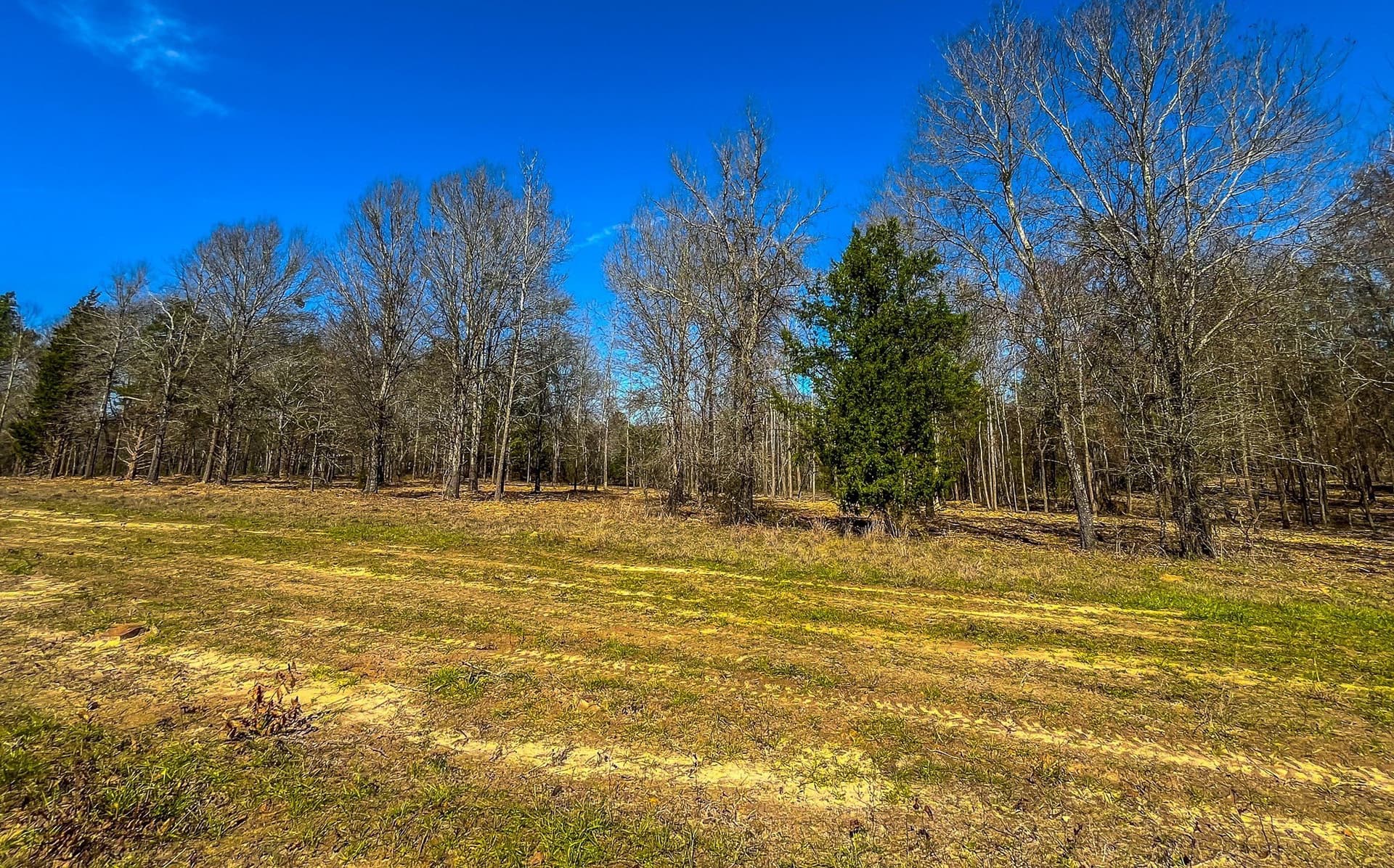 11.64 acres in Cherokee County - photo 14
