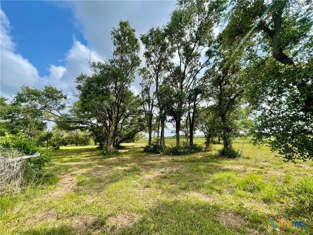 1.45 acres in Calhoun County gallery image 3