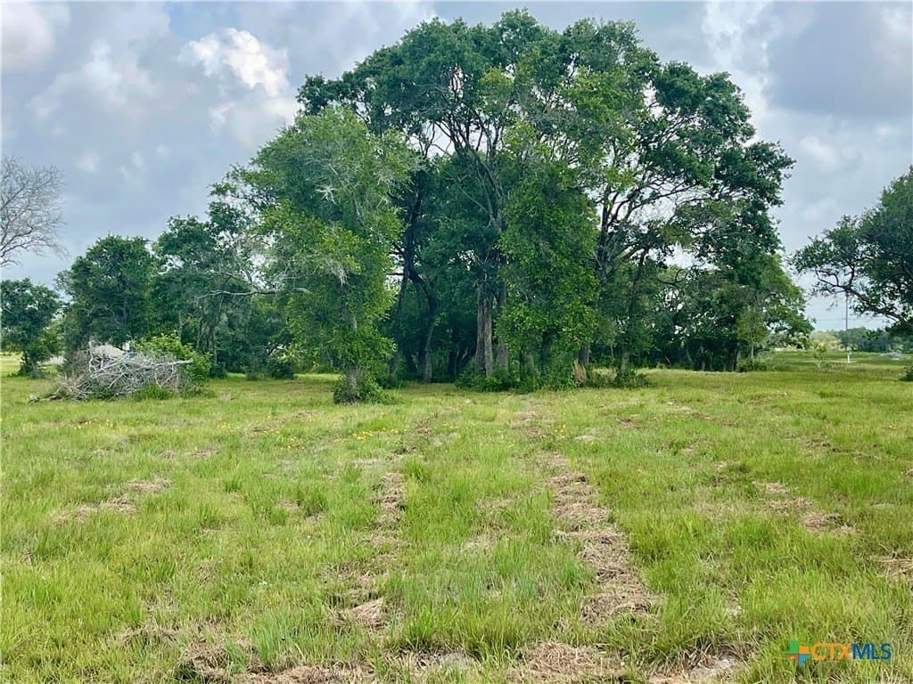1.45 acres in Calhoun County - photo 8
