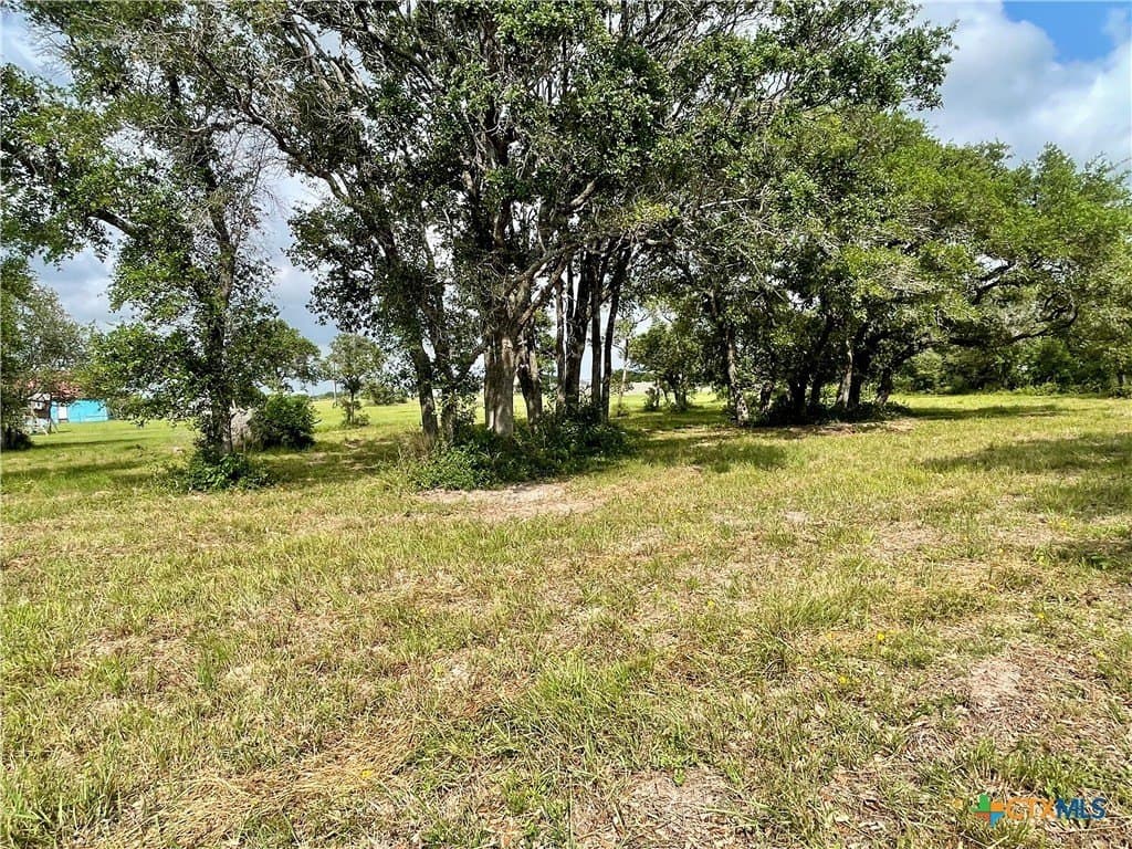 1.45 acres in Calhoun County - photo 7
