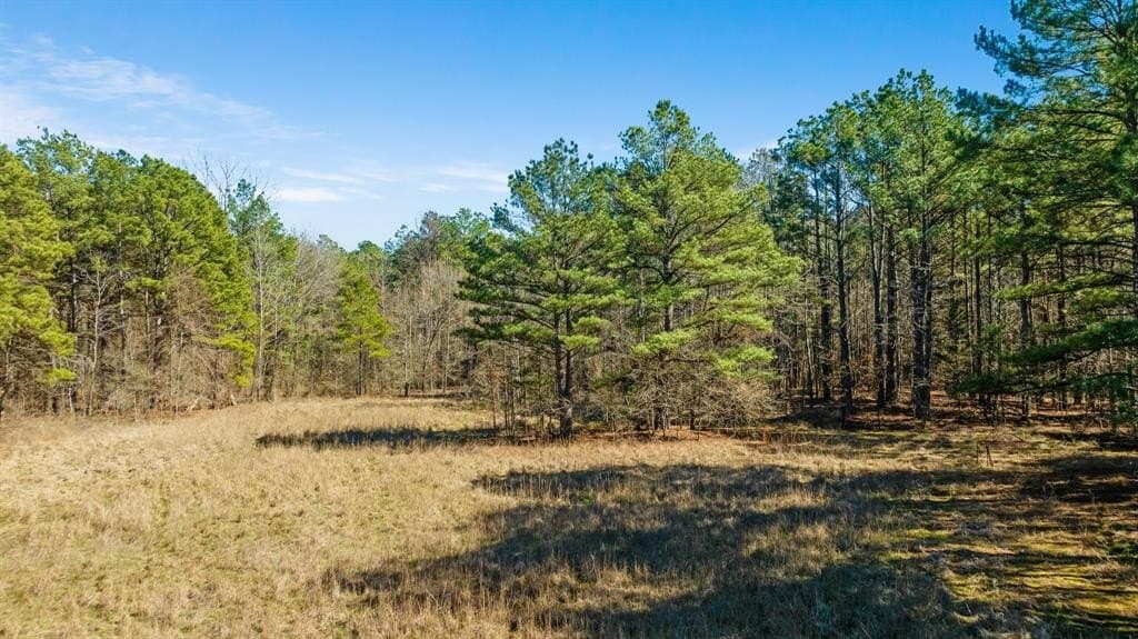 40 acres in Red River (TX) County gallery image 3