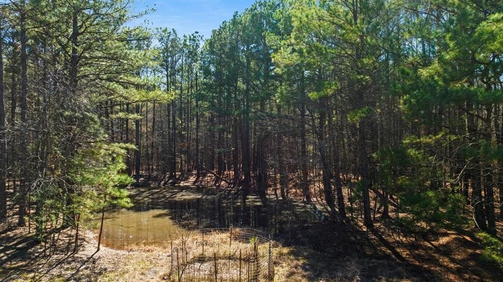 40 acres in Red River (TX) County gallery image 2