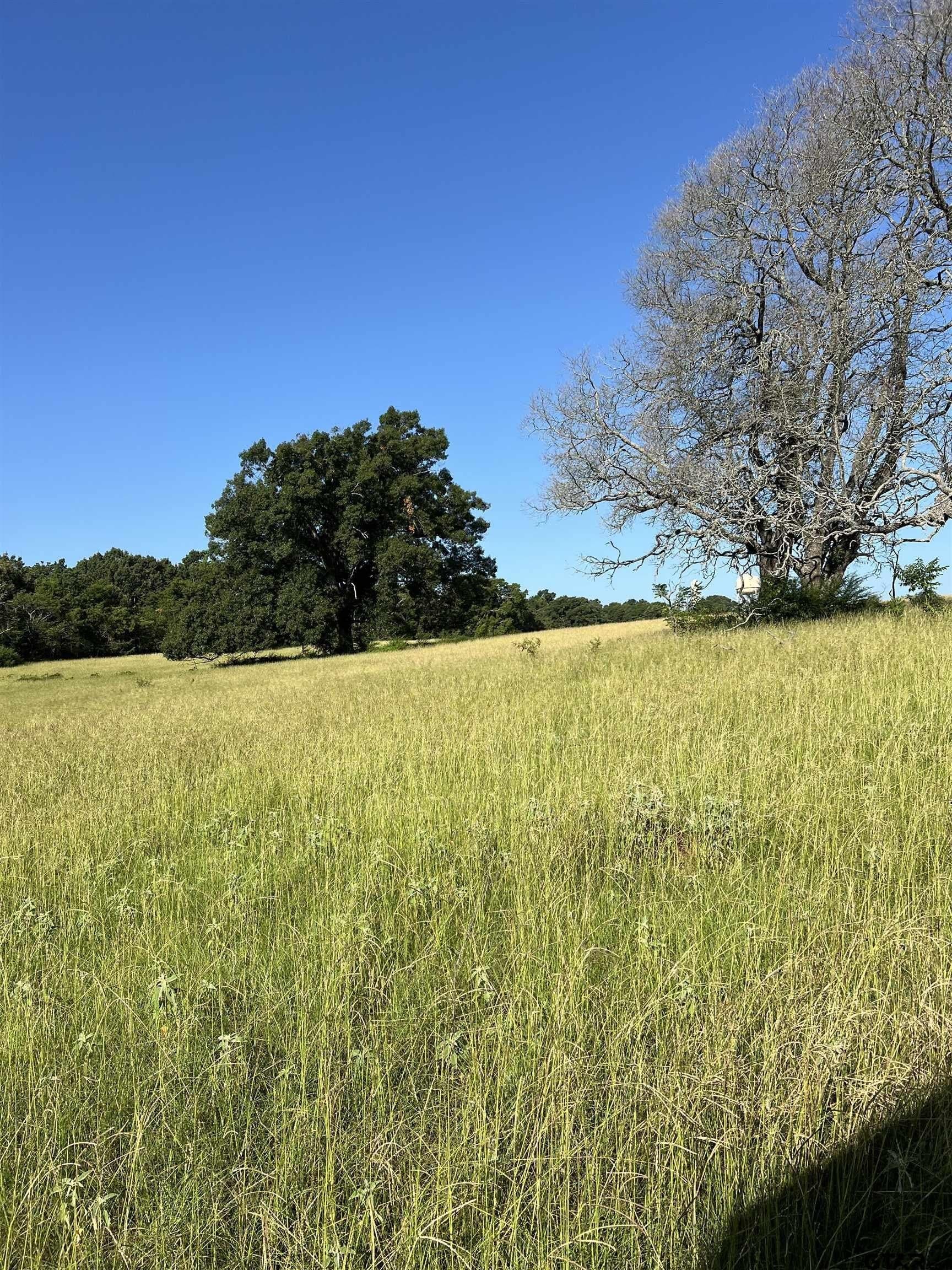 46.89 acres in Smith County - photo 15