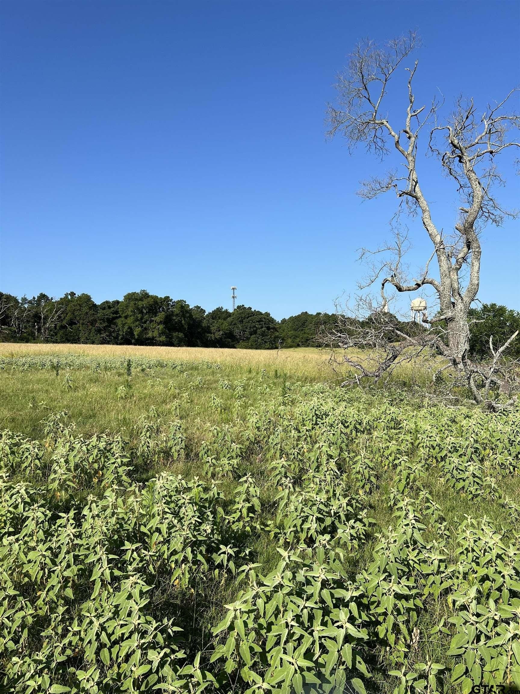 46.89 acres in Smith County - photo 12