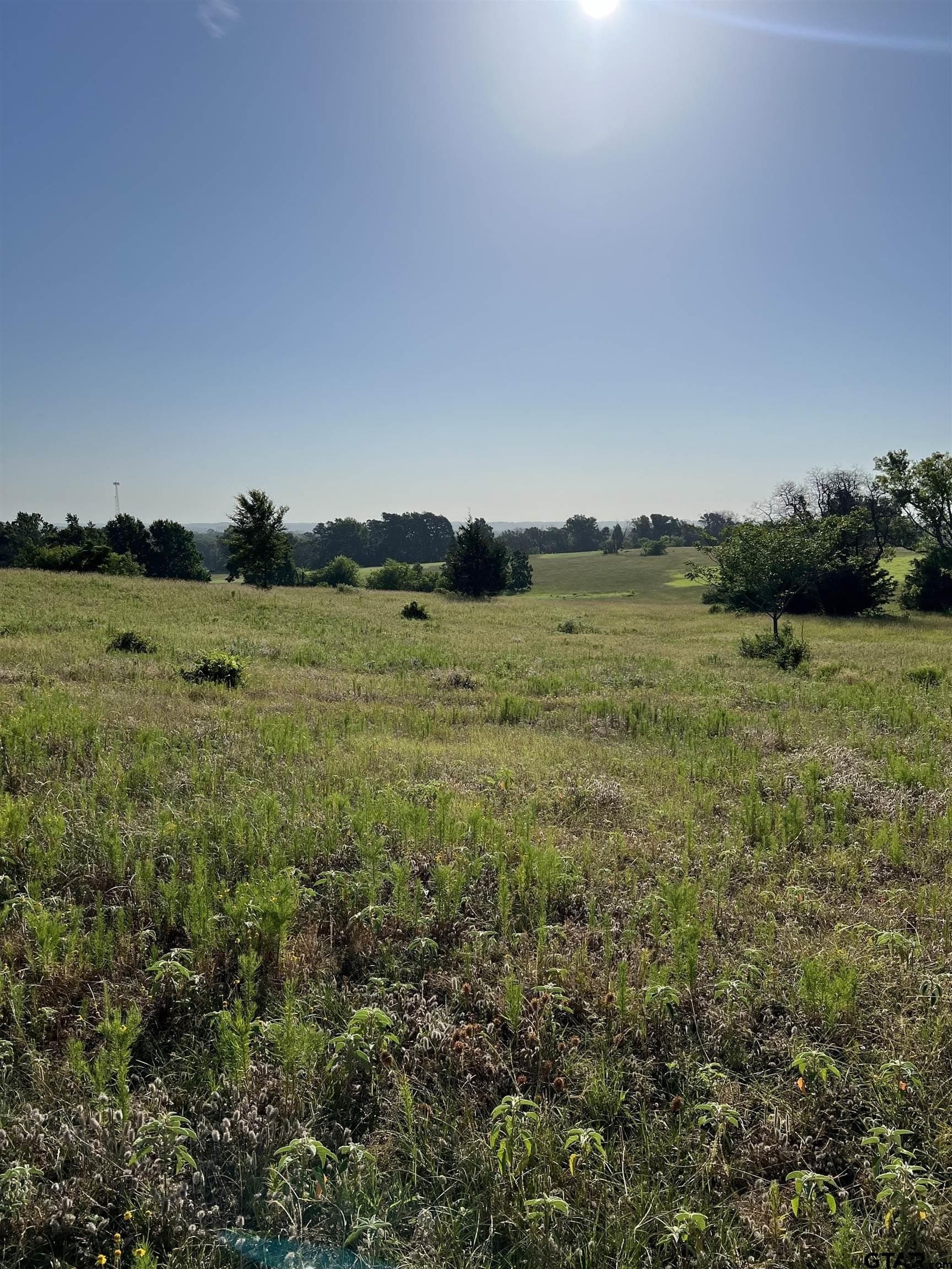 46.89 acres in Smith County - photo 6