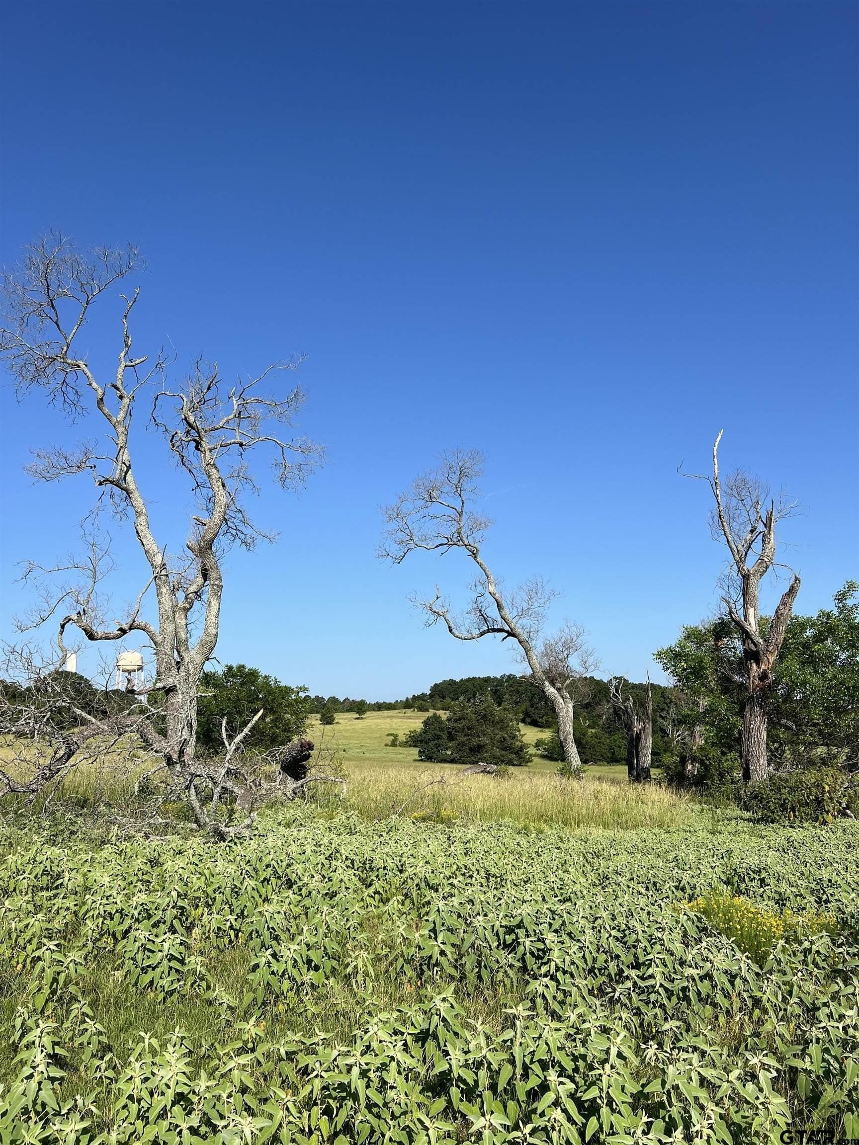 46.89 acres in Smith County - photo 14
