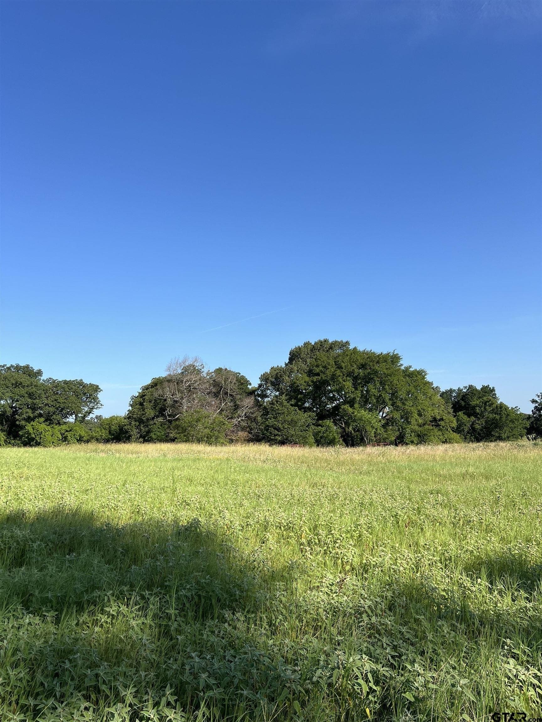 46.89 acres in Smith County - photo 17