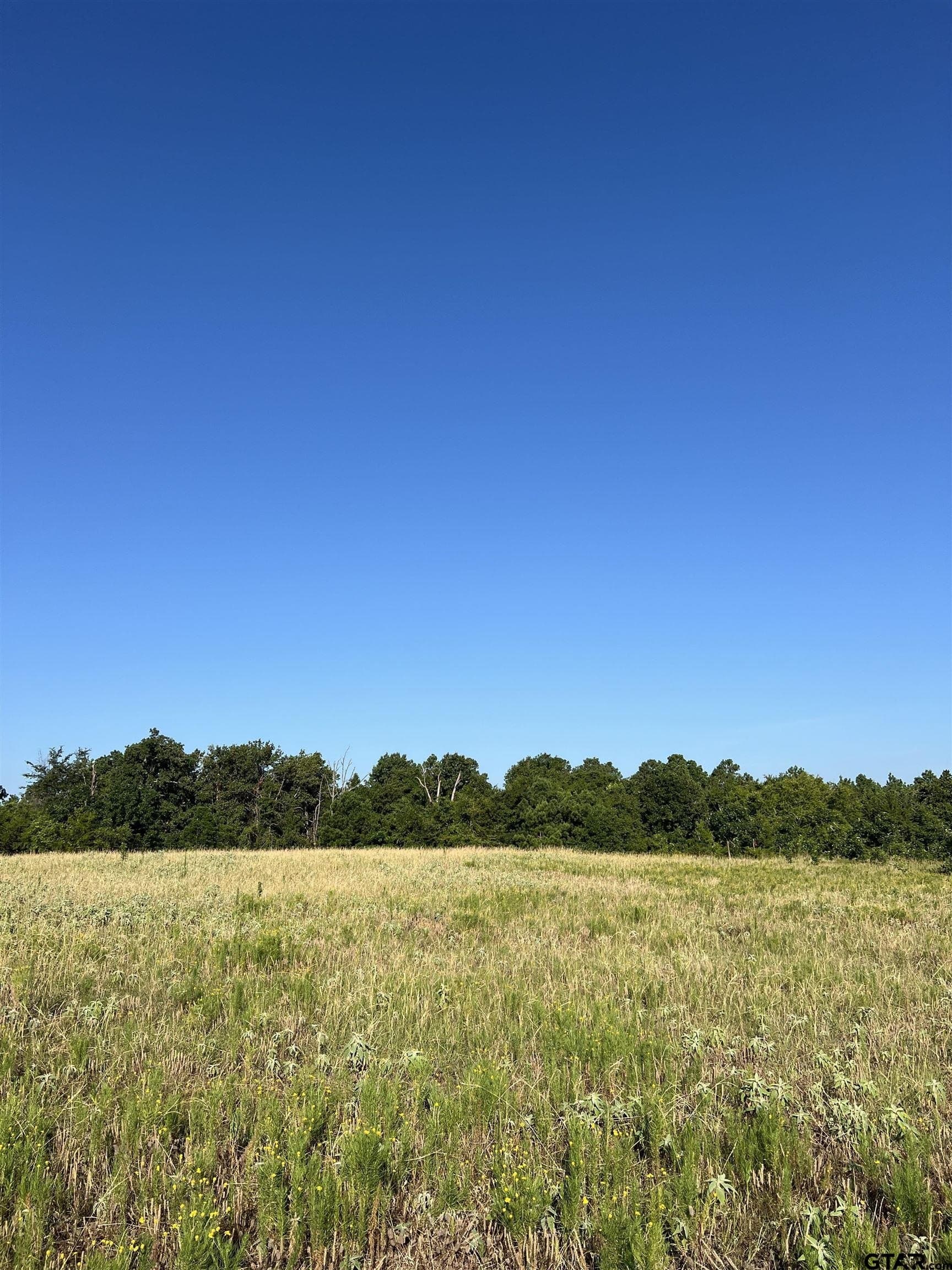 46.89 acres in Smith County - photo 8