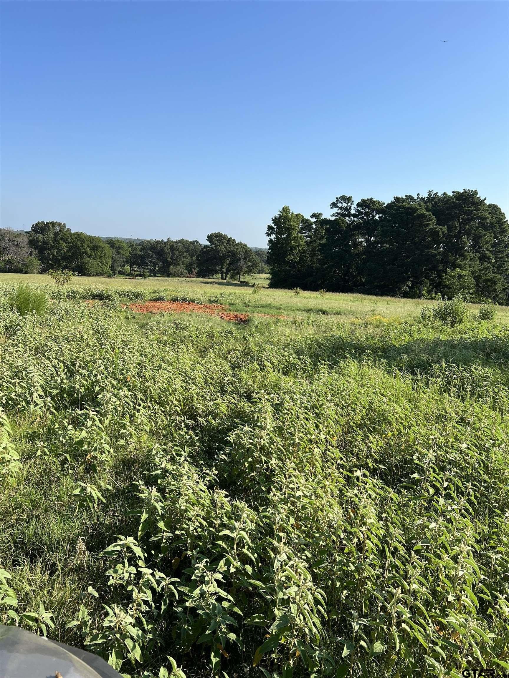 46.89 acres in Smith County - photo 10