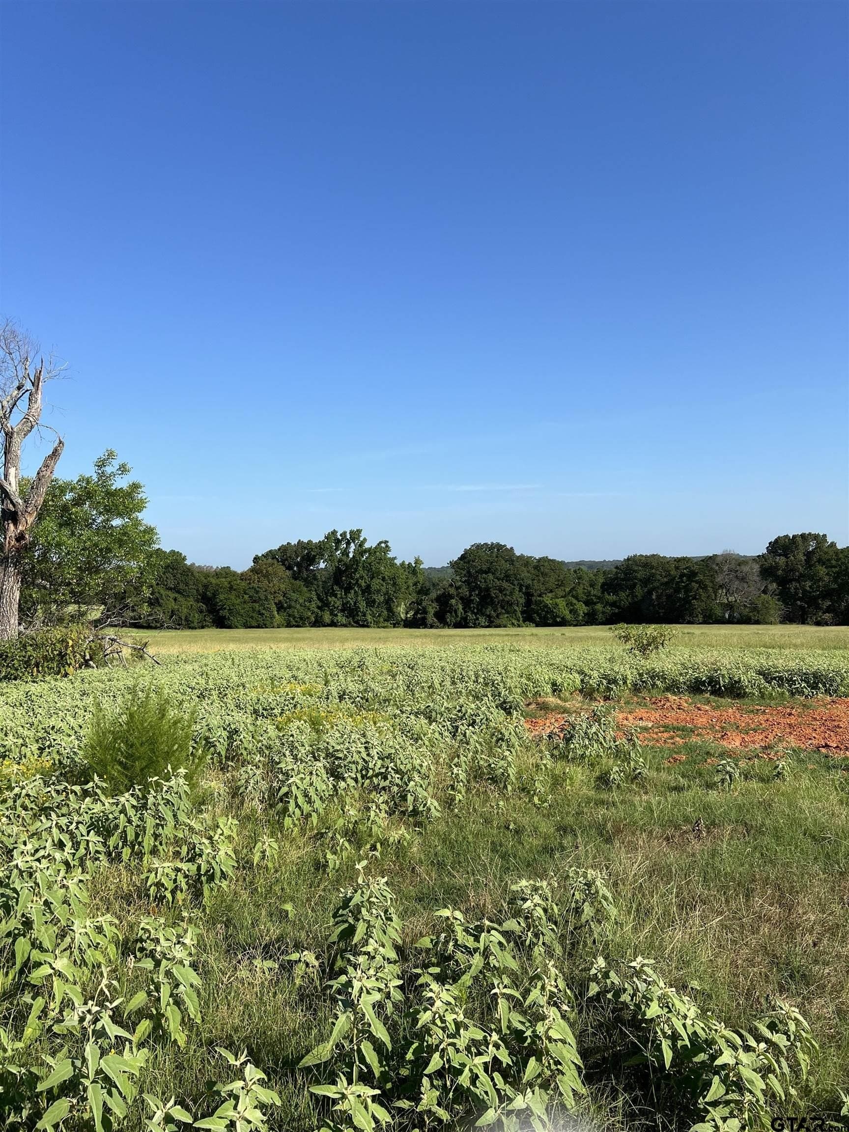 46.89 acres in Smith County - photo 13