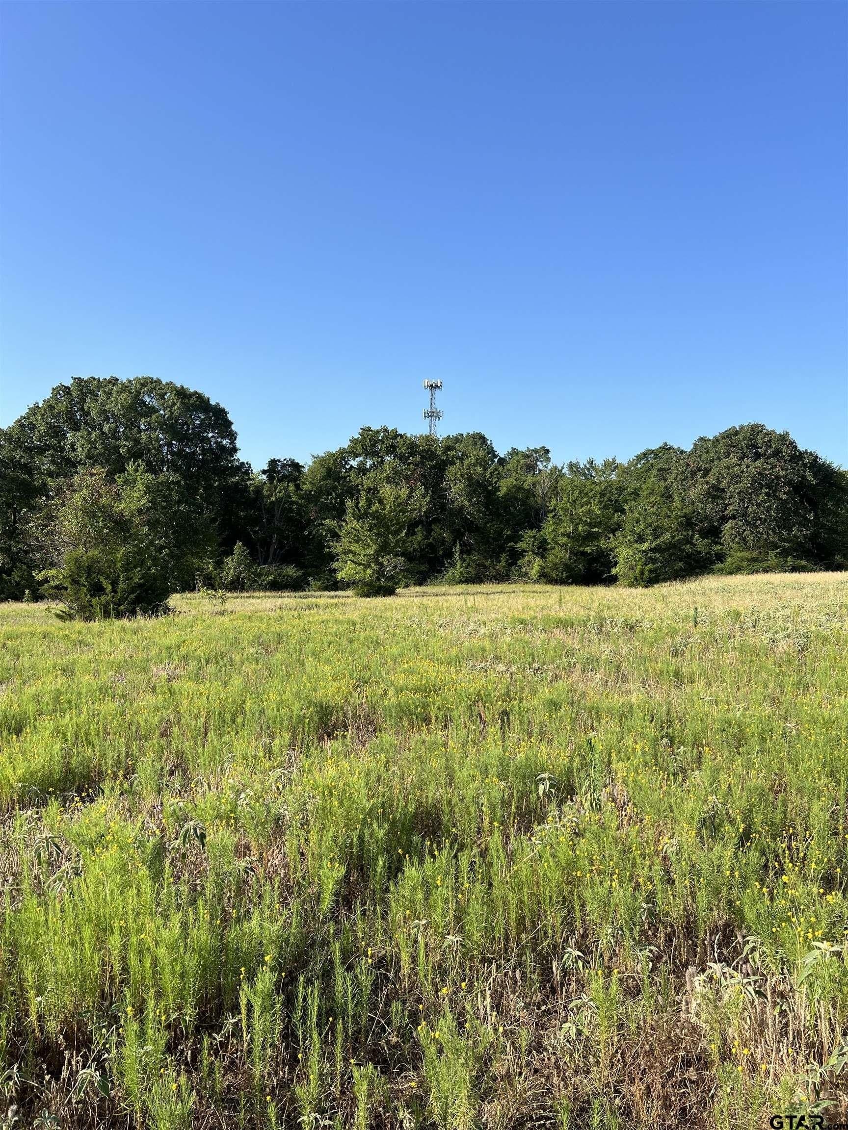 46.89 acres in Smith County - photo 7