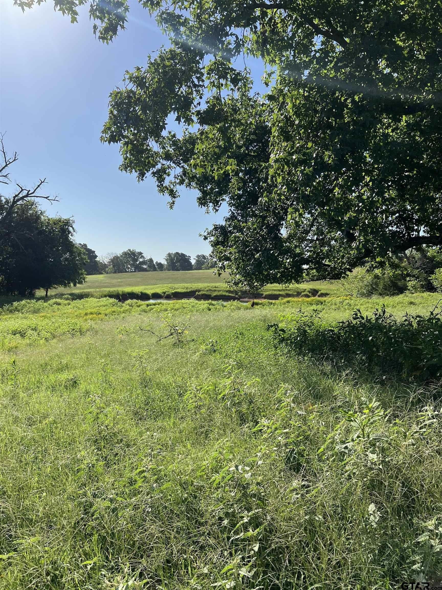 46.89 acres in Smith County - photo 19