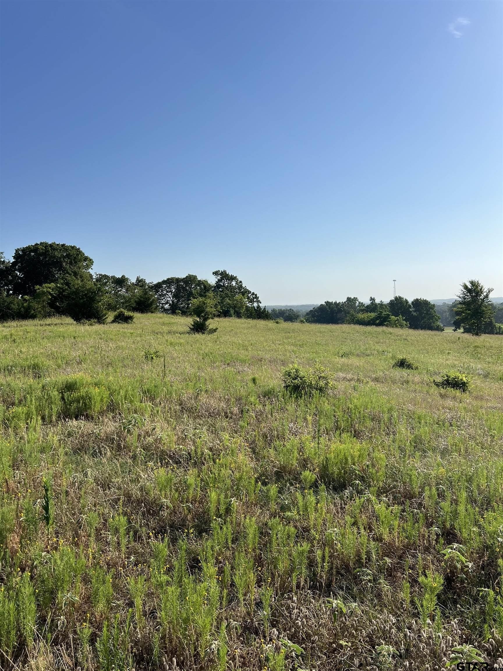 46.89 acres in Smith County gallery image 2