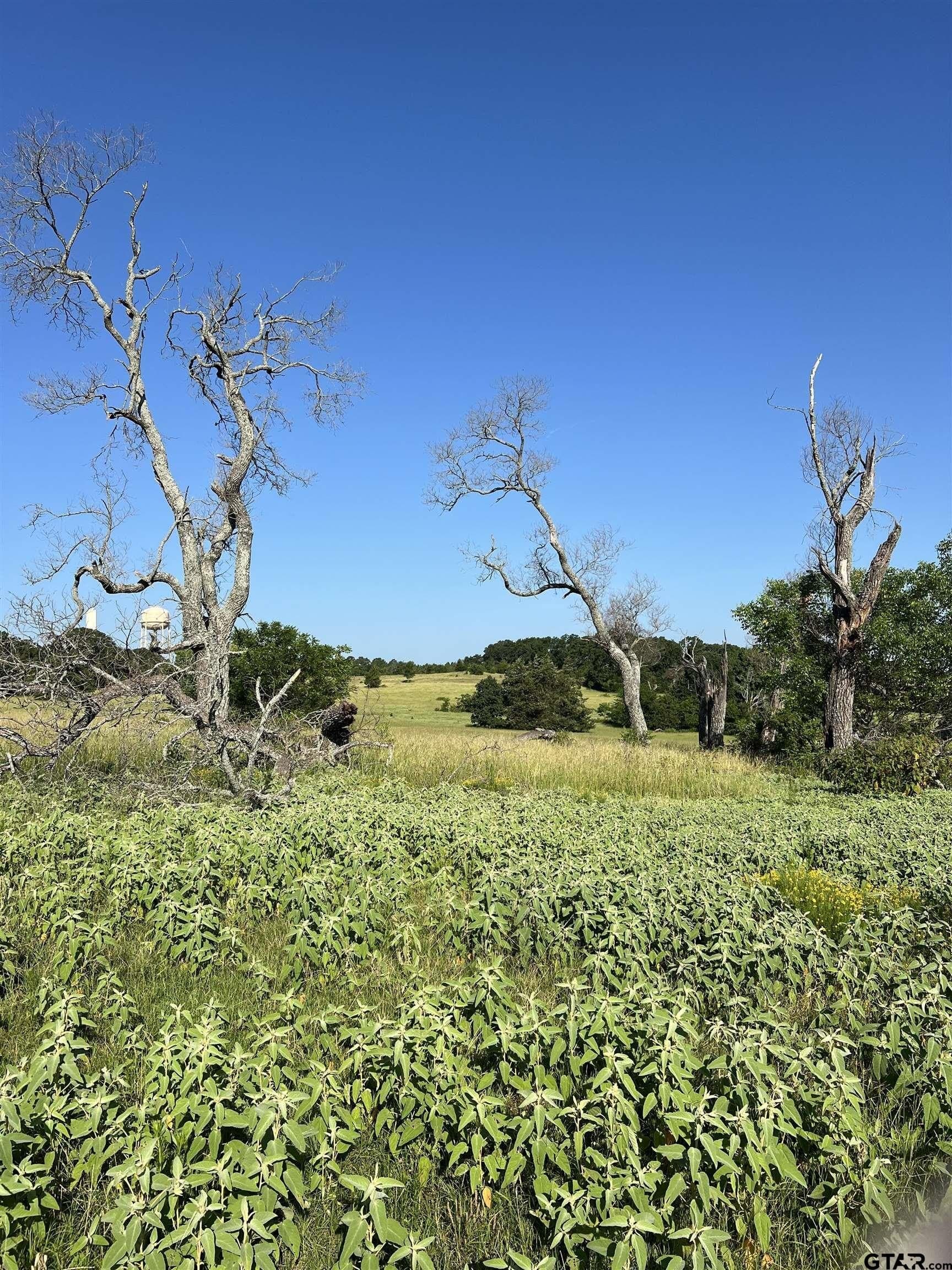 46.89 acres in Smith County - photo 11
