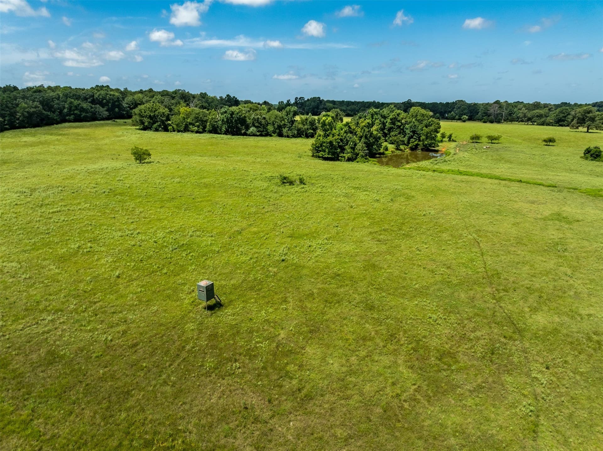 94.15 acres in Anderson County - photo 10