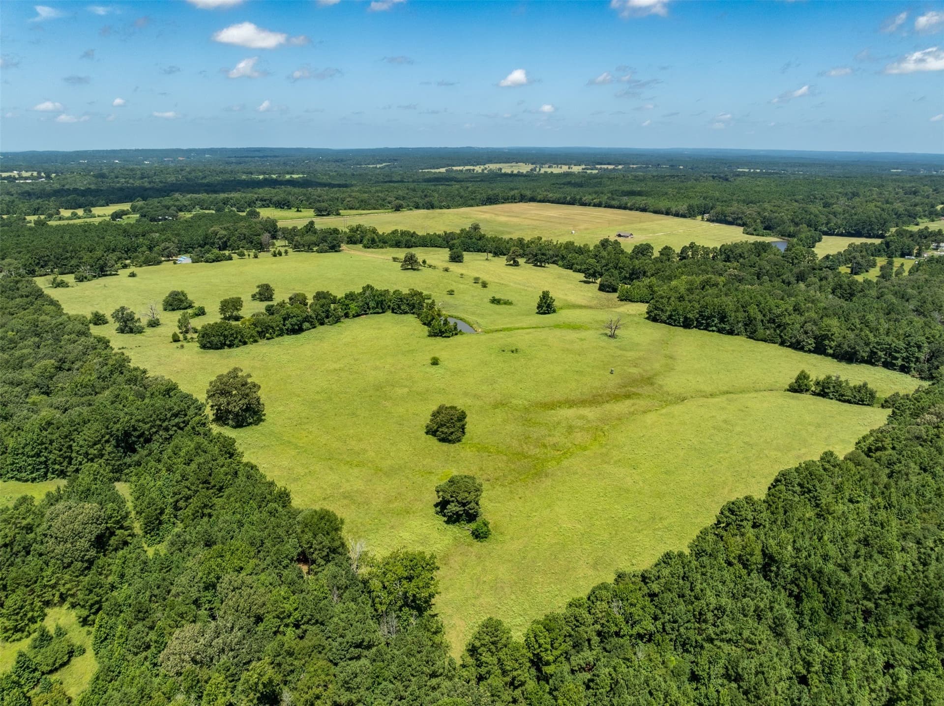 94.15 acres in Anderson County gallery image 2