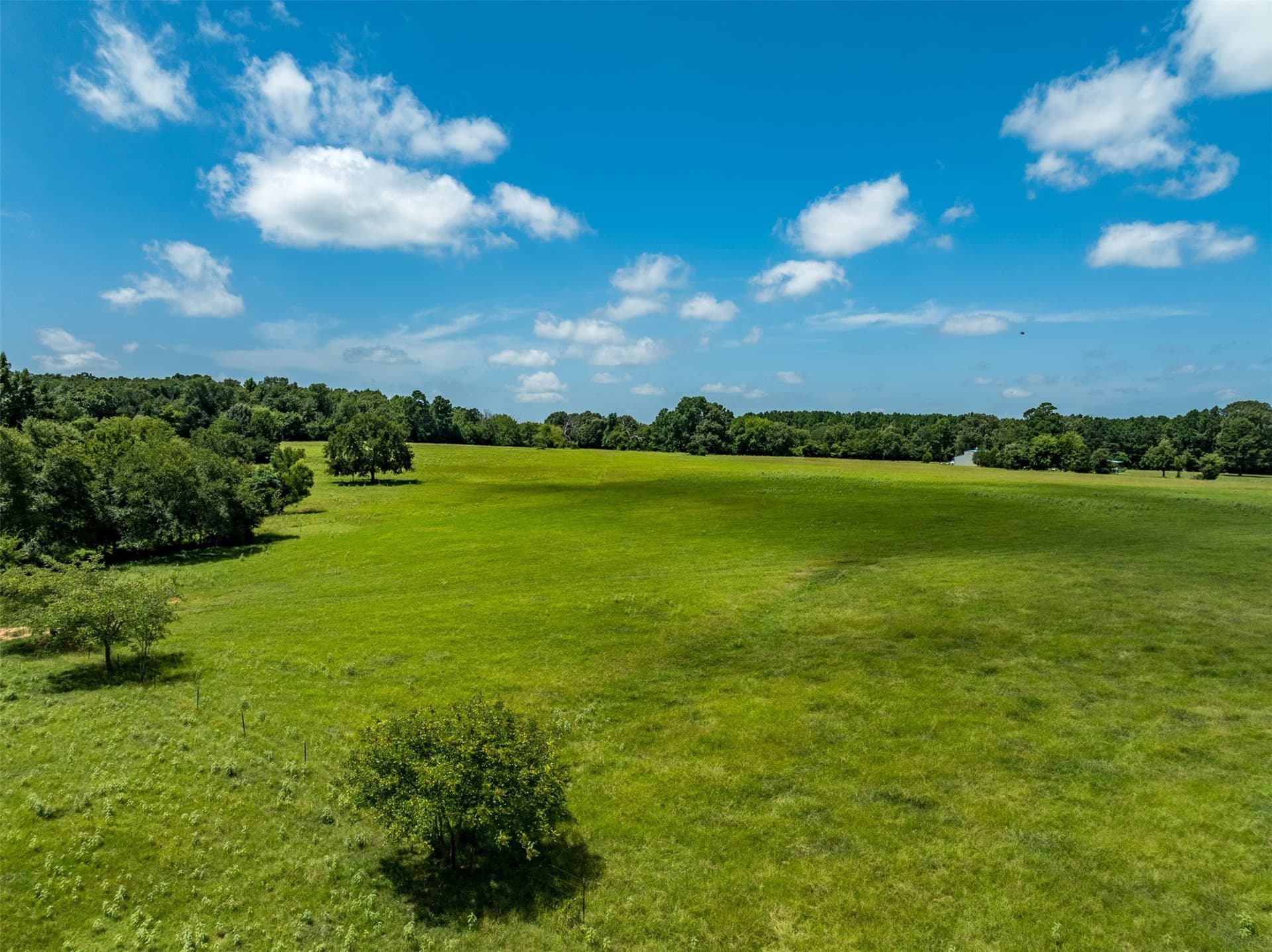 94.15 acres in Anderson County - photo 11