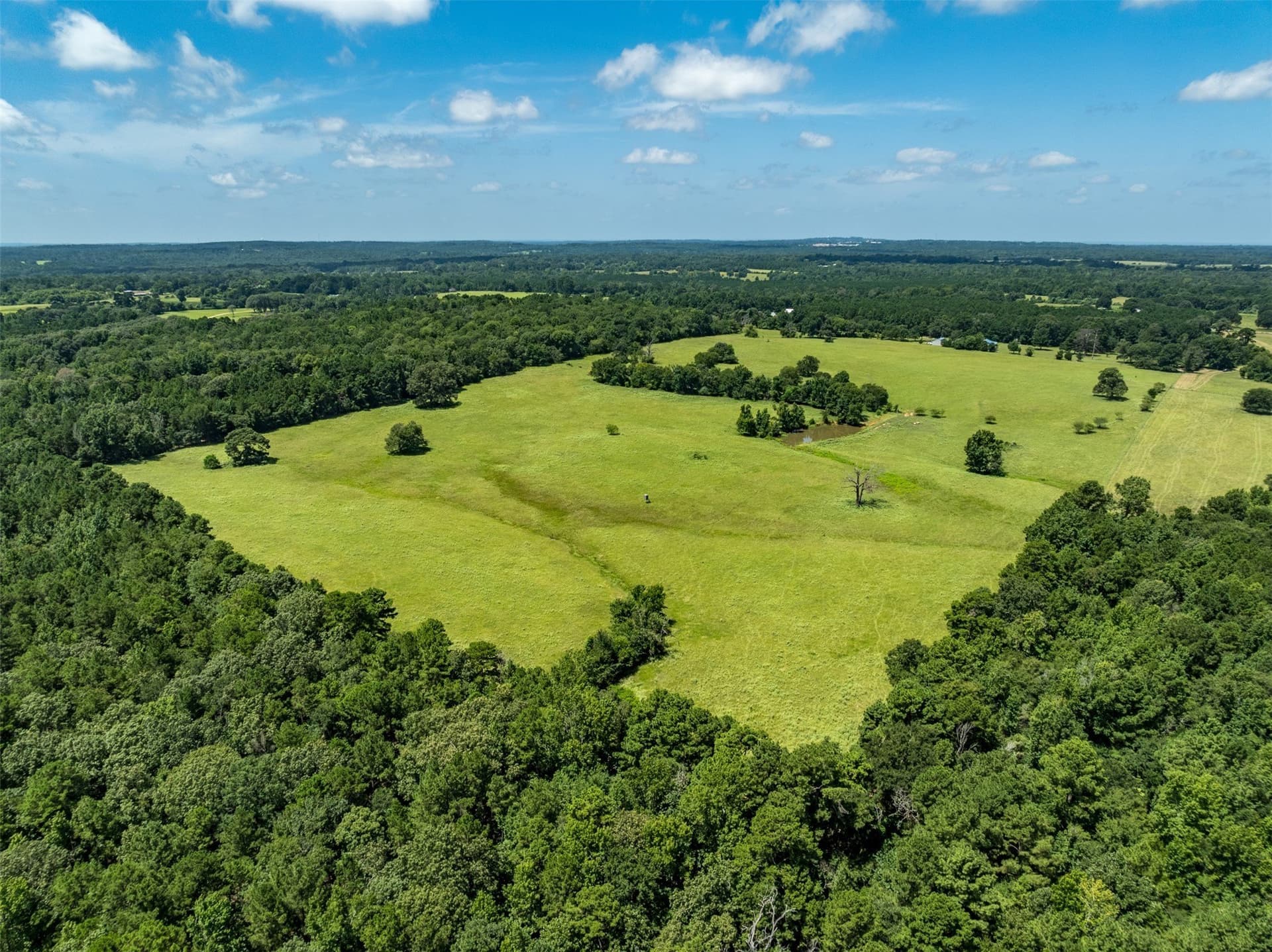 94.15 acres in Anderson County - photo 6