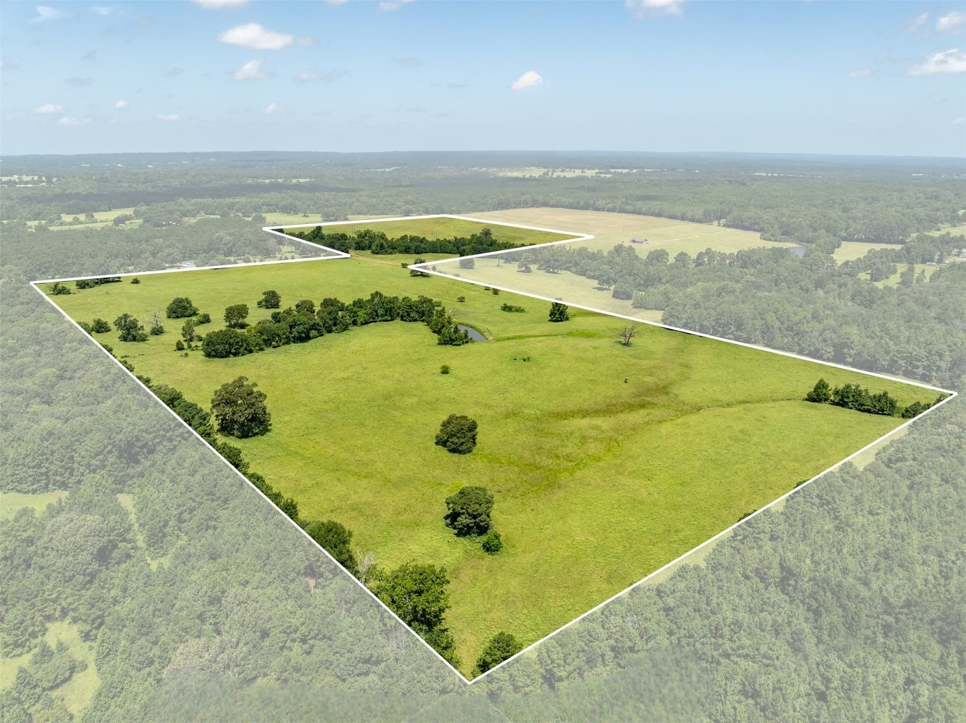 94.15 acres in Anderson County