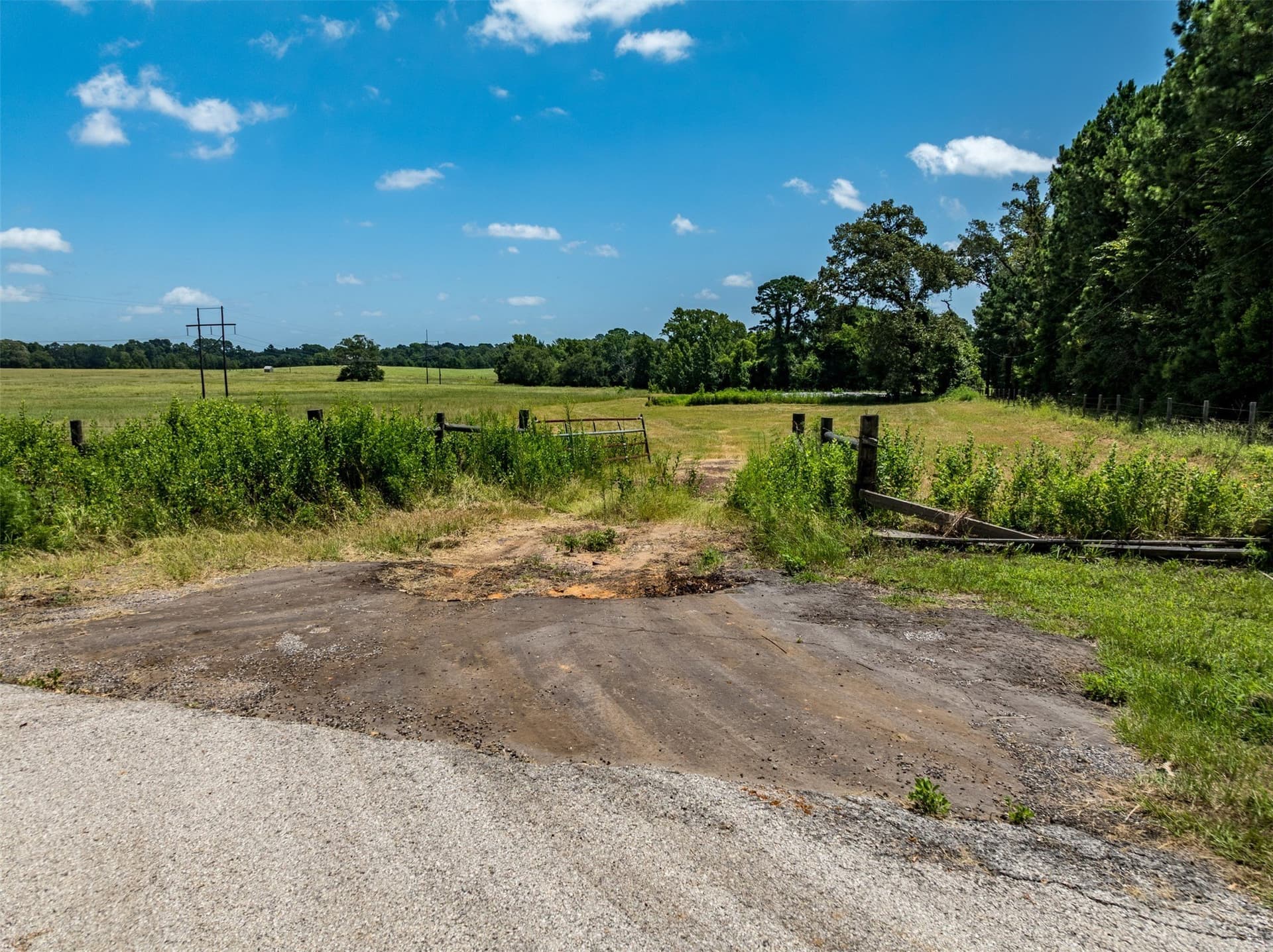94.15 acres in Anderson County - photo 12