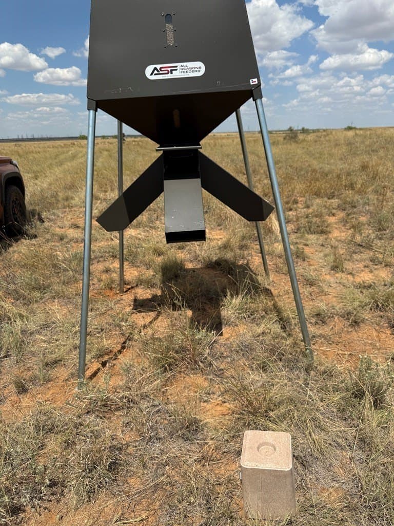 90 acres in Scurry County gallery image 4