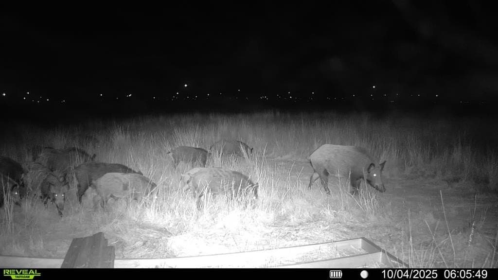 90 acres in Scurry County - photo 11