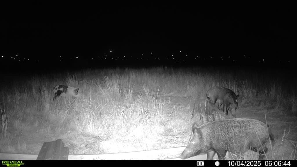 90 acres in Scurry County - photo 14