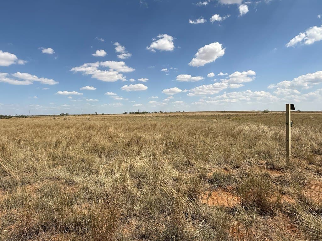 90 acres in Scurry County - photo 10