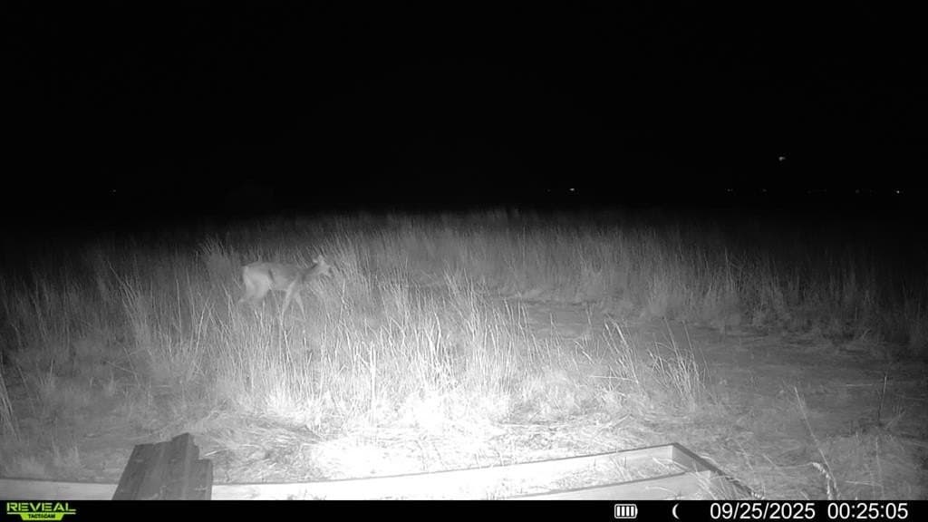 90 acres in Scurry County - photo 23