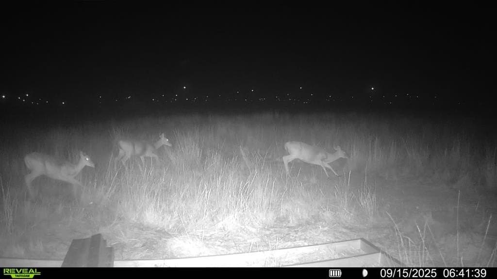 90 acres in Scurry County - photo 24
