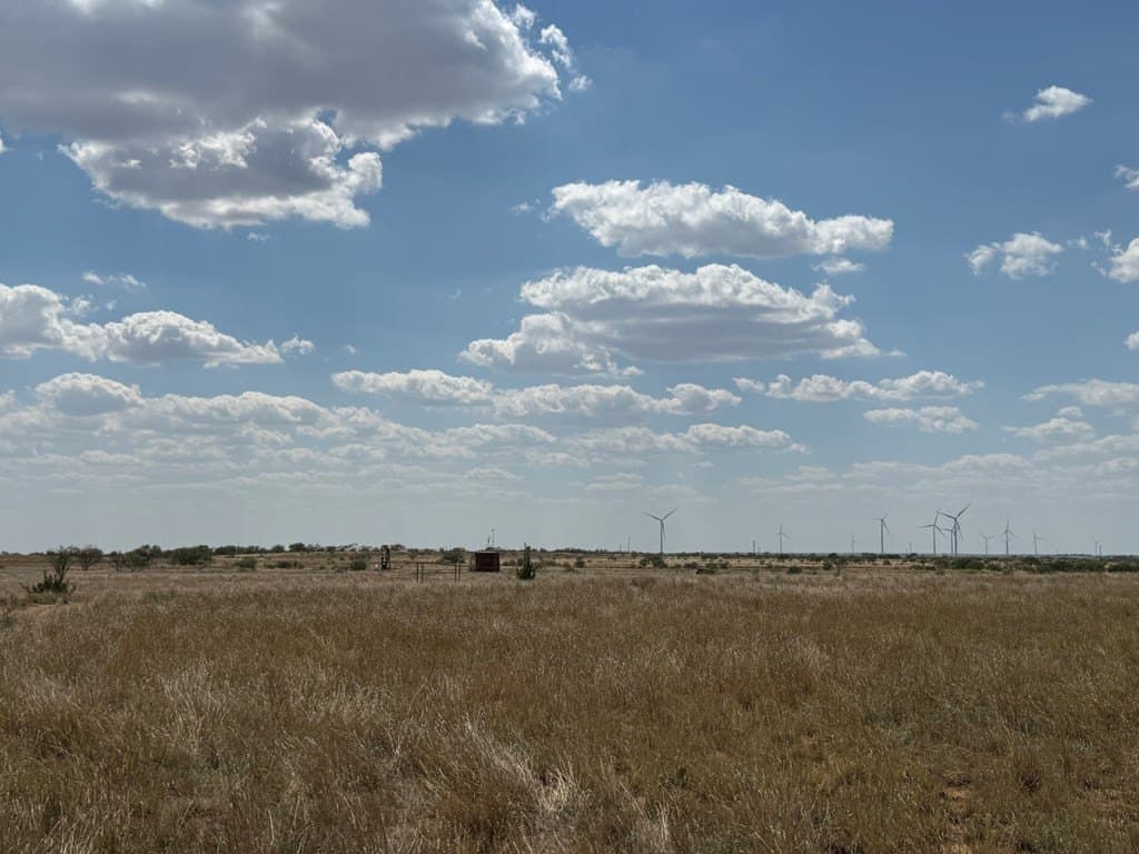 90 acres in Scurry County - photo 9