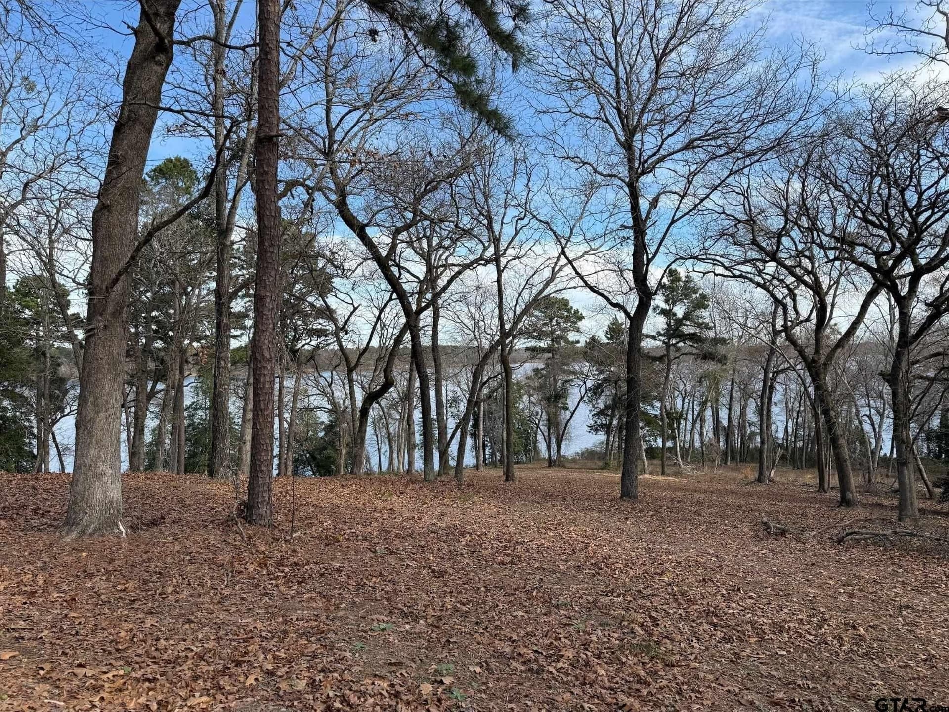 1.2 acres in Henderson County - photo 6