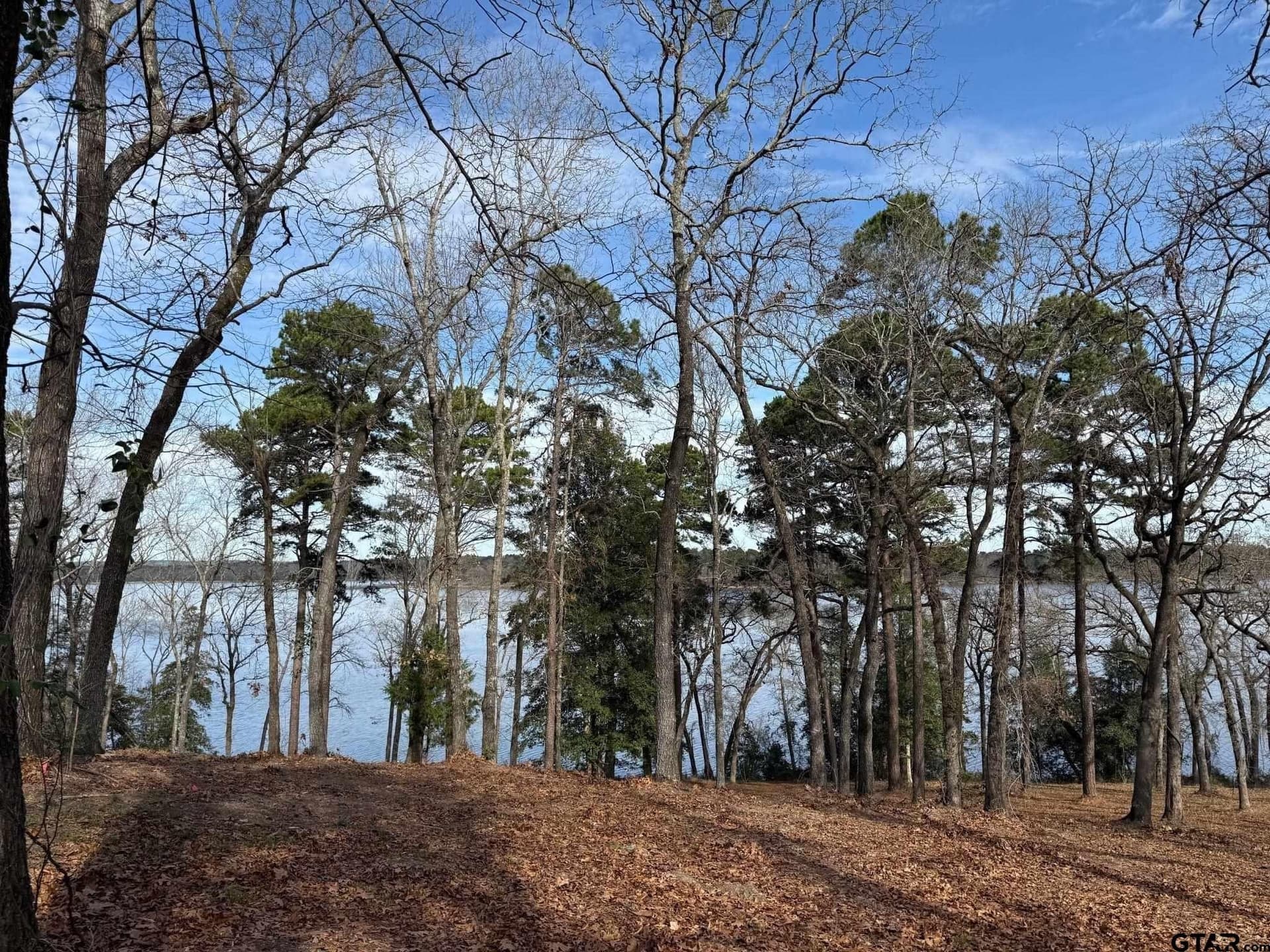 1.2 acres in Henderson County - photo 9