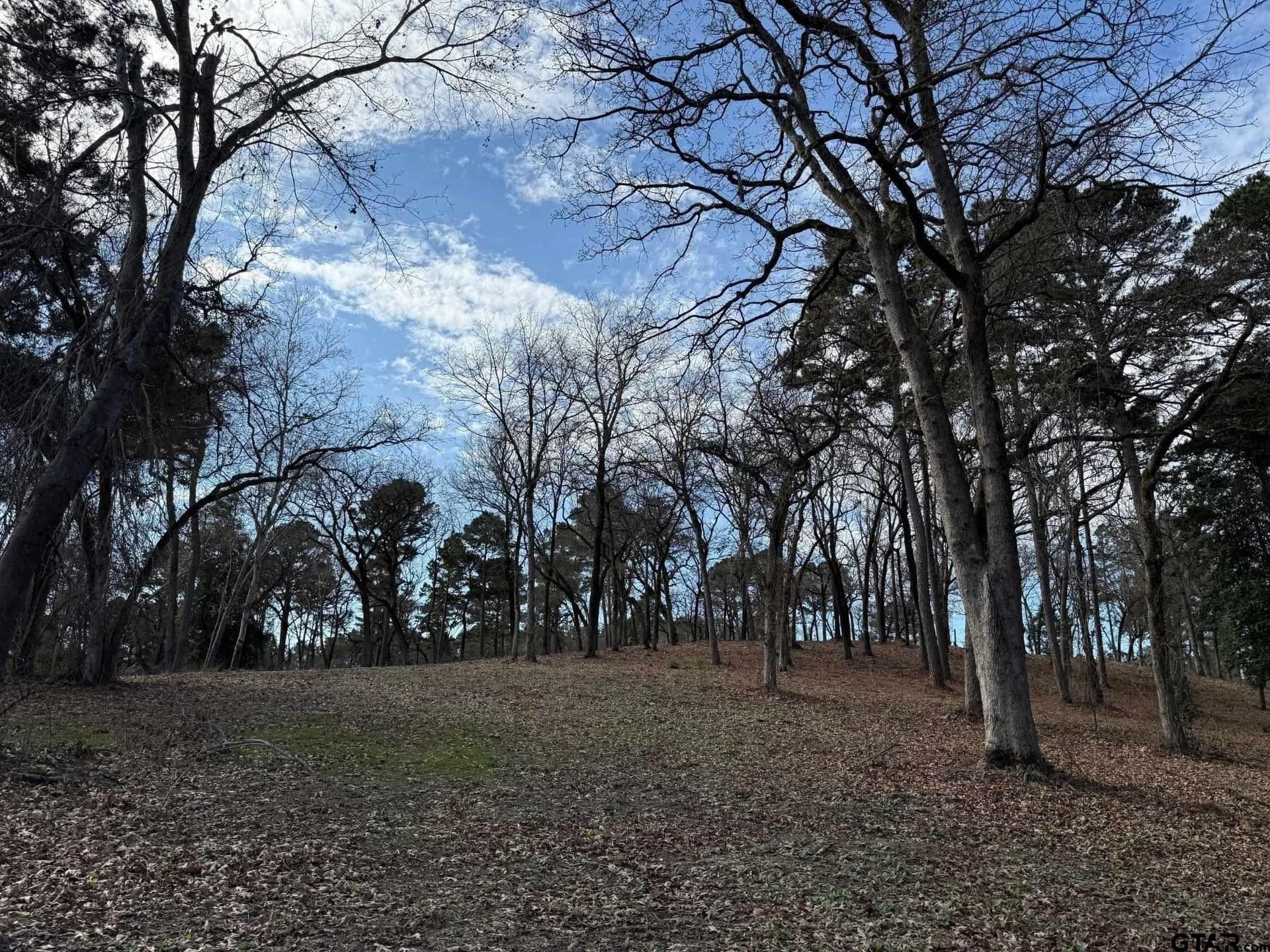 1.2 acres in Henderson County - photo 10
