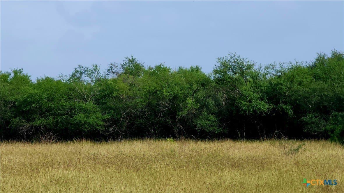 10 acres in Victoria County