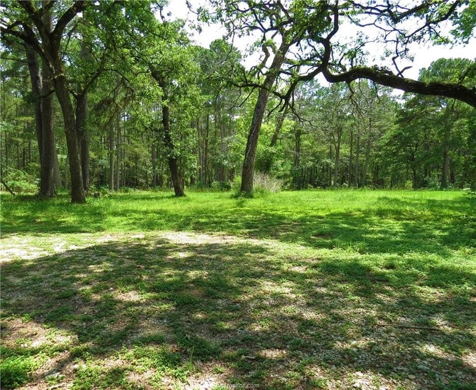 3.94 acres in Grimes County featured view