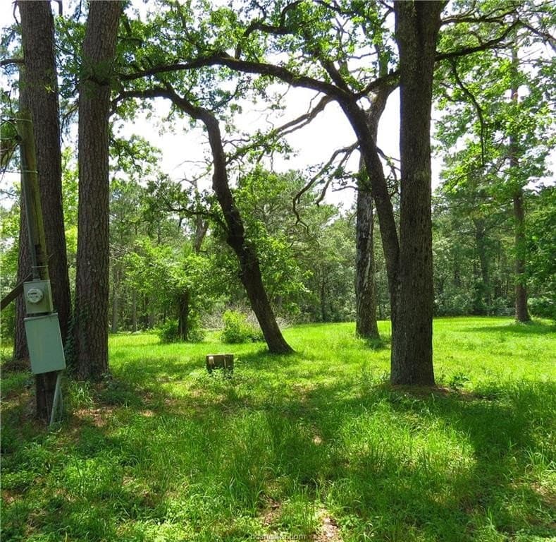 3.94 acres in Grimes County gallery image 4